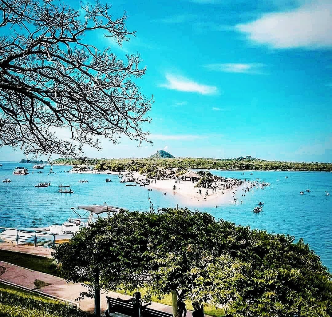 Vista do alto da Ilha do Amor em Alter do Chão com o rio baixo: um banco de areia branca cheio de gente emerge no meio da água esverdeada, cercado por barcos pequenos ancorados, com galhos secos de uma árvore emoldurando a cena