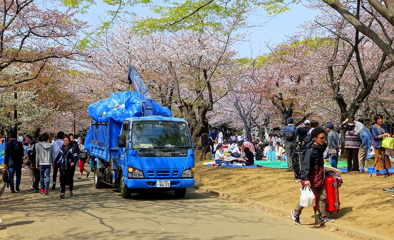 Pessoas sentadas embaixo de cerejeiras floridas durante o festival de sakura no Parque Yoyogi, em Tóquio