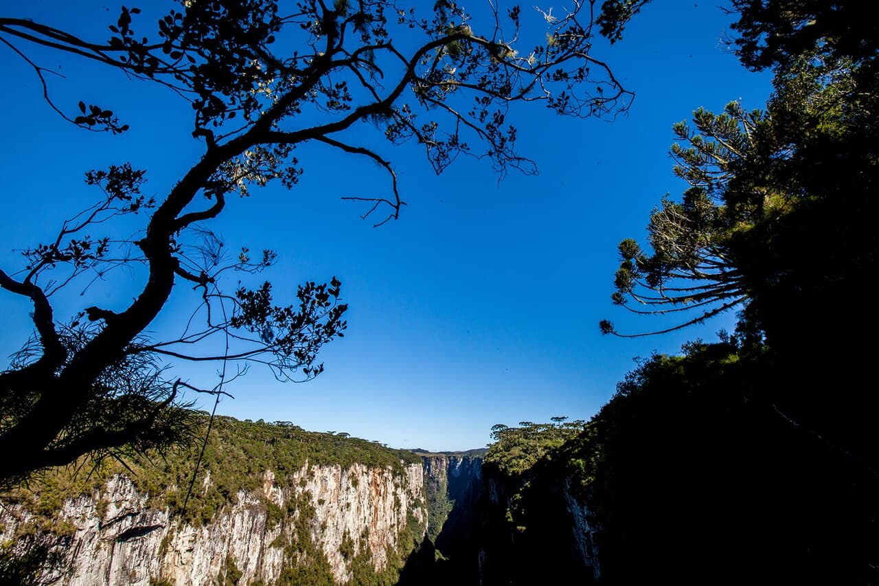 Cambará do Sul