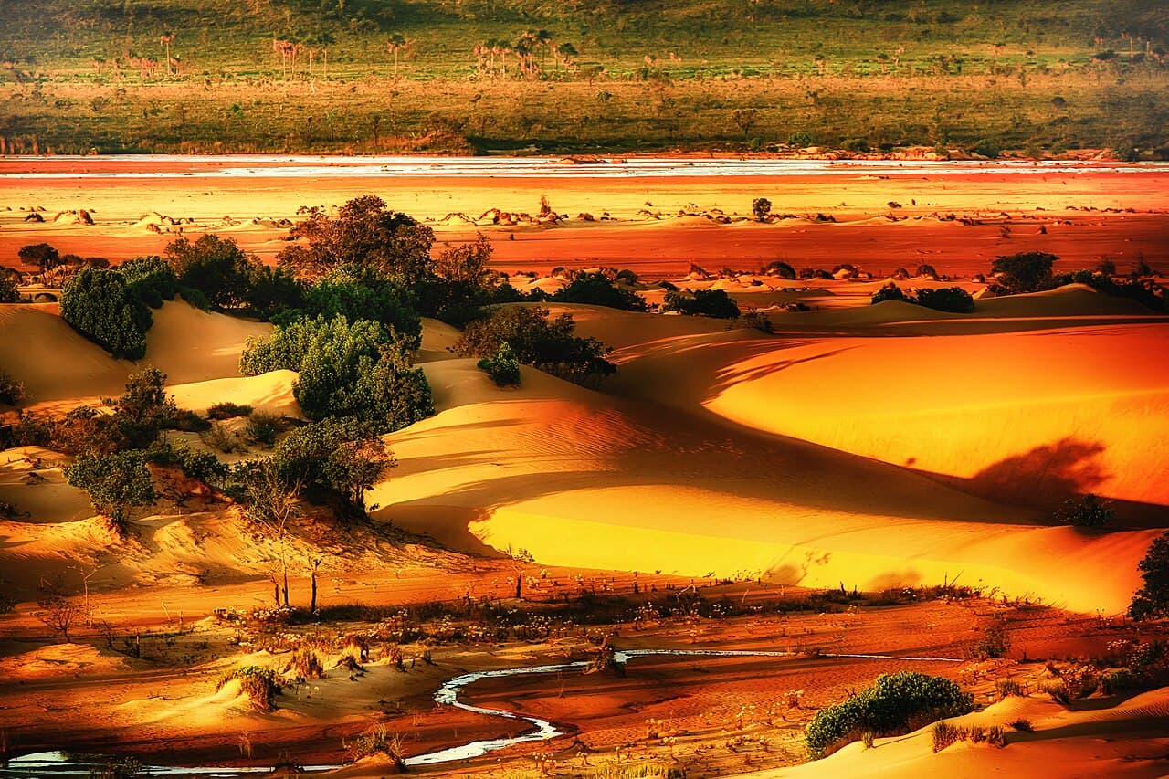 Dunas alaranjadas do Jalapão na luz do fim de tarde, com arbustos espalhados, um filete de água na frente e uma faixa de cerrado verde no horizonte